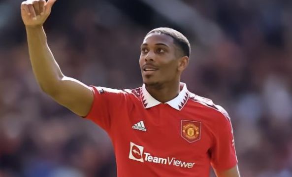 中学习与总 中学习与总