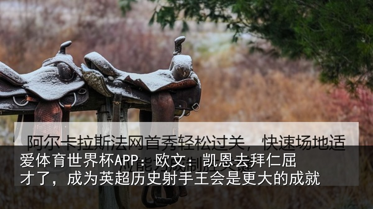 爱体育世界杯APP：欧文：凯恩去拜仁屈才了，成为英超历史射手王会是更大的成就